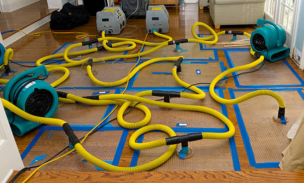 Professional Structural Drying And Dehumidification technician working in Woody, CA